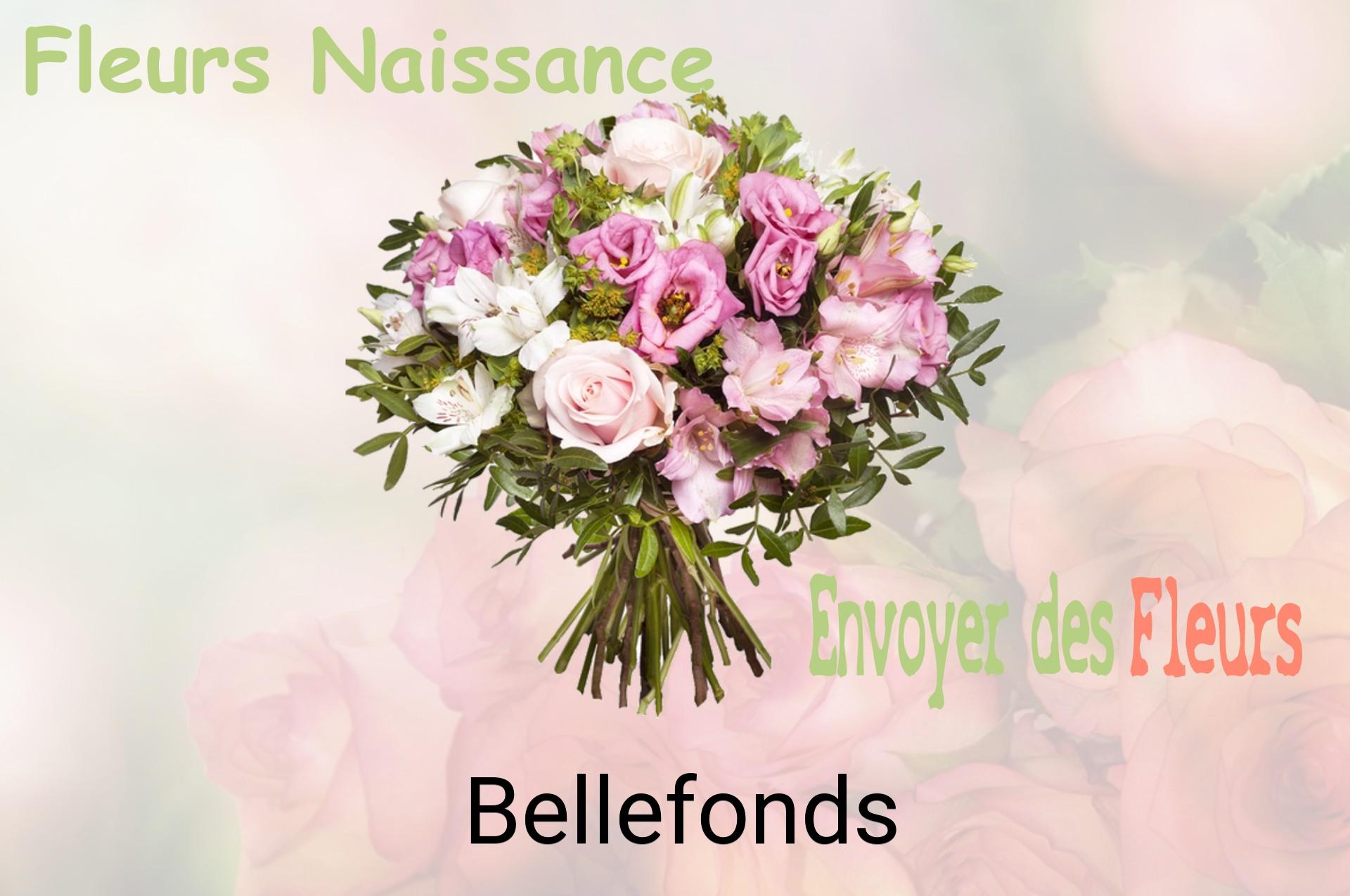 Bouquet de fleurs de naissance livré à Bellefonds